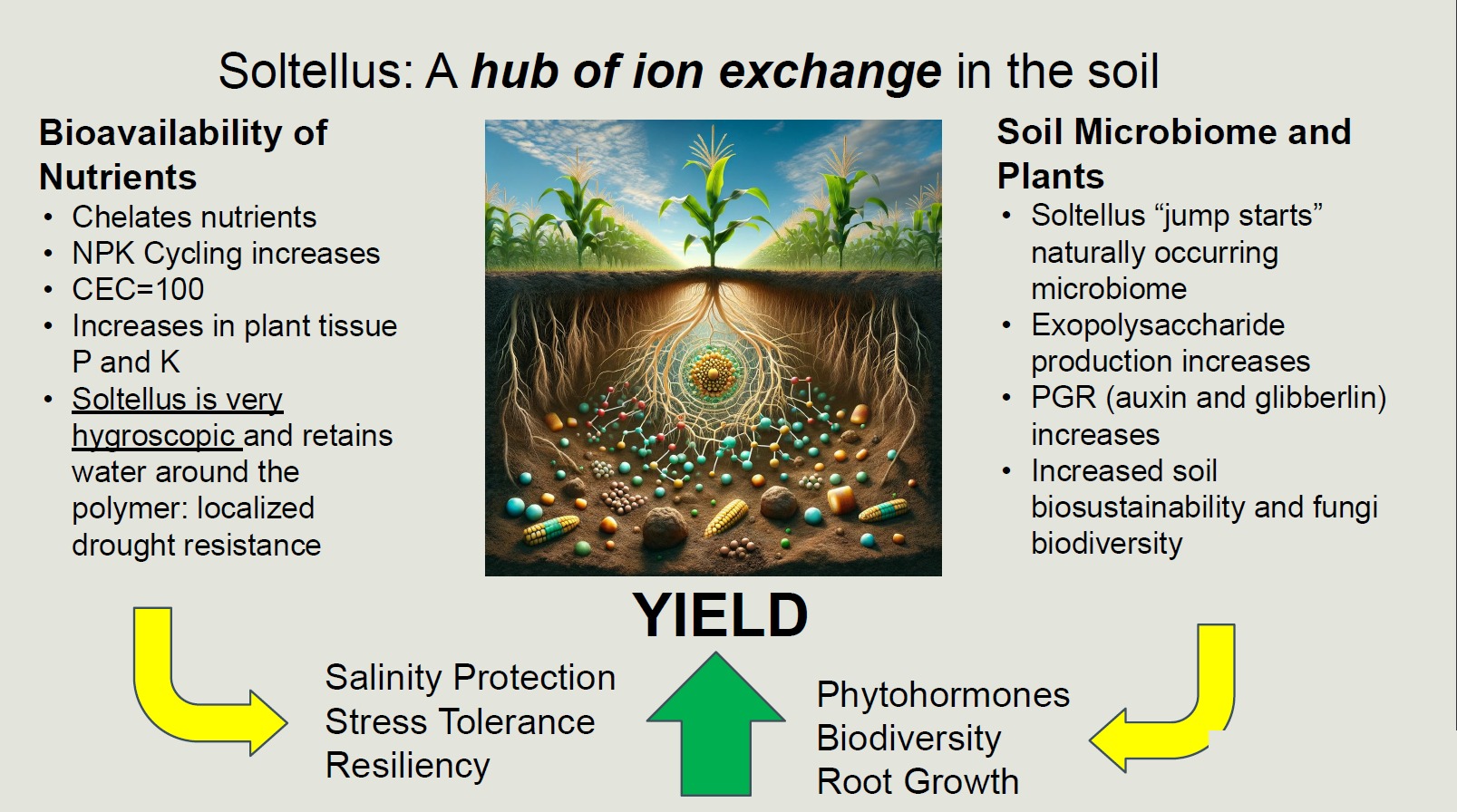Diagram: Soltellus as a hub of ion exchange in the soil — nutrient bioavailability, soil microbiome and plant benefits driving yield